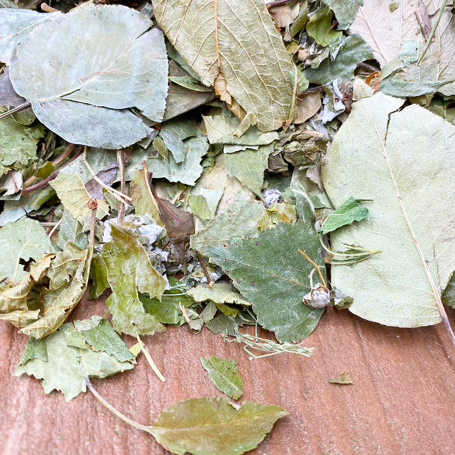 Blättervielfalt